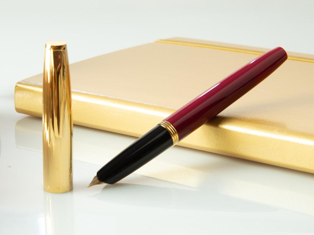 Aurora Duo-Cart Fountain Pen, Resin, Gold Trim, DC57-DXM