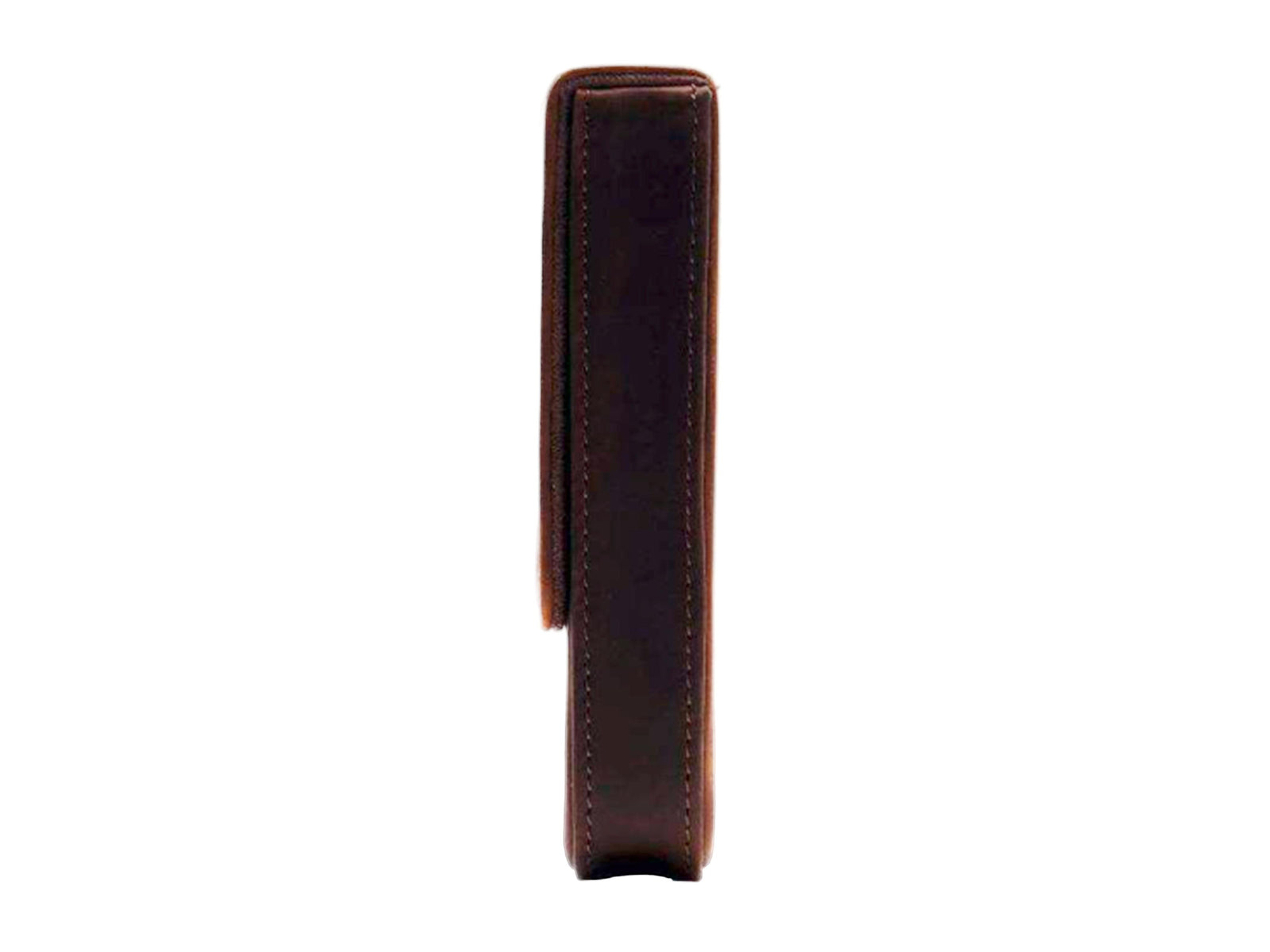 Iguana Pen Case Brown for 3 writing items, PEN-CASE-BROWN-3