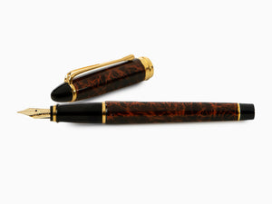 Aurora Ipsilon Fountain Pen, Brown marbled tortoise, Gold trim, B13T