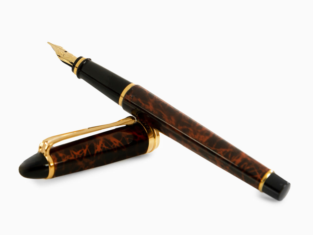 Aurora Ipsilon Fountain Pen, Brown marbled tortoise, Gold trim, B13T