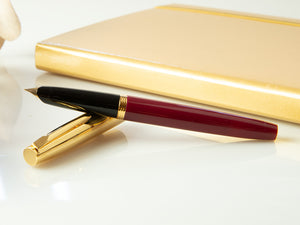 Aurora Duo-Cart Fountain Pen, Resin, Gold Trim, DC57-DXM