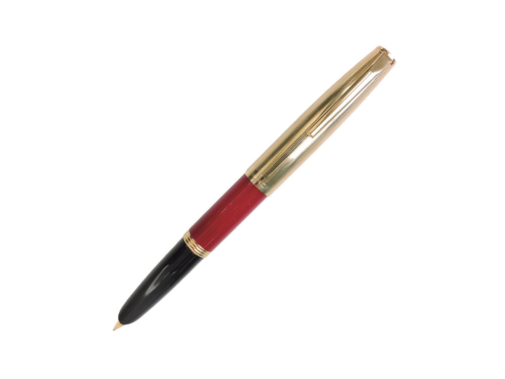 Aurora Duo-Cart Fountain Pen, Resin, Gold Trim, DC57-DXM