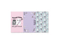 Esterbrook Pastel Halloween Blotter Papers, Special edition
