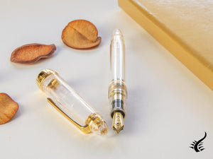 Sailor 1911 Standard Series Fountain Pen, Resin, Demonstrator, Gold trim