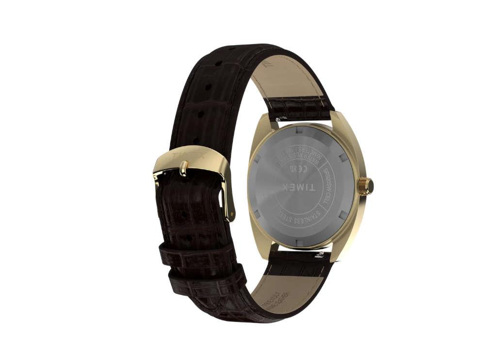 Timex Lab Reissue 1976 Quartz Watch, PVD Gold, Black, 37 mm, TW2Y82100