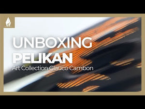 Pelikan M600 Art Collection Glauco Cambon Fountain Pen, Special Edition
