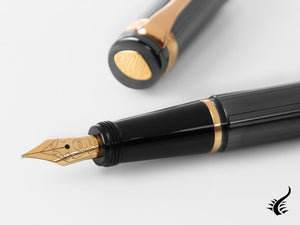 Aurora Andrea Palladio Fountain Pen,  Limited Edition, Rose gold trim